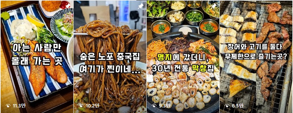 업로드 계정의 실제 릴스 목록 — 조회수 11.3만·10.2만·9.3만·6.5만 회가 표시되어 있다